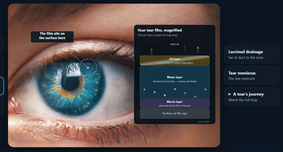 The tear film, magnified